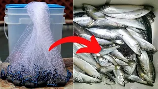 URBAN Herring Hunt! Learn How to Throw a Cast Net