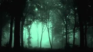 Dark dubstep mix #15 (2013)