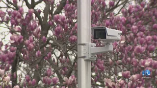 Grace period ends for Norfolk school zone speeding cameras