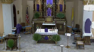 Holy Mass, Vigil, Palm Sunday of Our Lord's Passion March 23, 2024