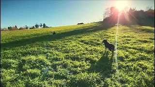 Winter Country Life In Tasman New Zealand