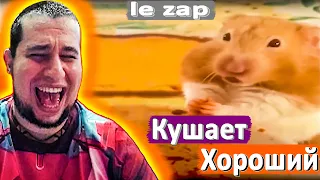 МАНУРИН СМОТРИТ LE ZAP DE COKAïN FR N°297 ПРИКОЛЫ ⊳ WATCH THE MANYRIN РЕАКЦИЯ #reaction #реакция