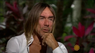 Iggy Pop - 2017 Interview