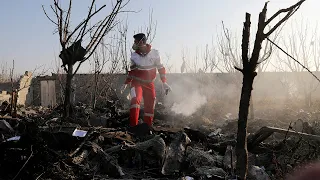 Video appears to show Ukrainian airline hit over Iran | ABC7