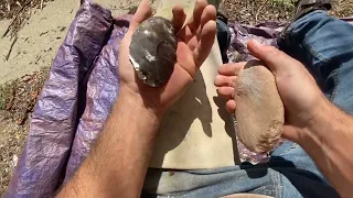 Elongated sandstone percussion on raw root beer chert