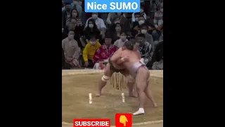 good sumo#shorts