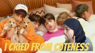 TXT 'Cat & Dog' Official MV reaction [ i stan   ]