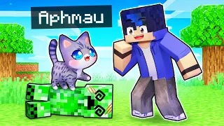 Minecraft But We Play As HELPFUL KITTENS!