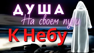 Душа на своем пути к небу!... Eпископ Александр (Милеант)