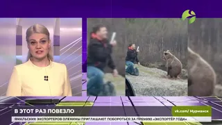 В соцсетях появилось видео встречи человека с медведем