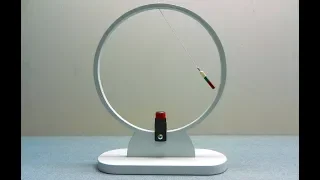 Infinite Oscillation of the magnetic pendulum