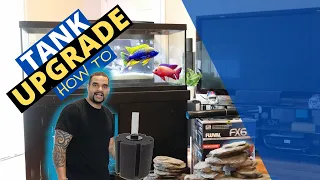 Aquarium Upgrade - How To Swap Your Old Tank with New Tank