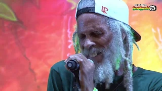THE CONGOS live @ Main Stage 2016