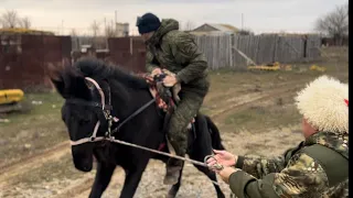 200 километров на калмыцком жеребце.Обучение лошади.Конный туризм Калмыкии