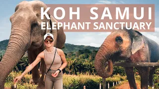 ELEPHANT SANCTUARY | HIGHLIGHT on KOH SAMUI [rescue elephants]