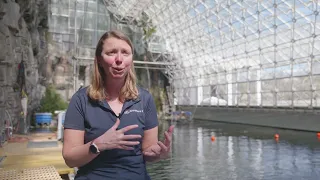 Lighting the Way Towards Coral Research | Biosphere 2 Ocean