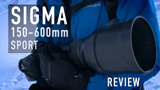 Sigma 150-600mm Sport - My own experience (with a hired lens)
