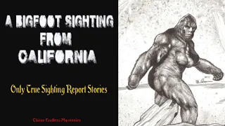 A Bigfoot Sighting From California