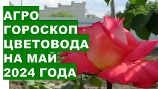 Агрогороскоп цветовода на май 2024 года. Florist's agrohoroscope for May 2024