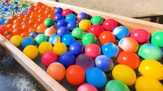 Marble Run ASMR☆1000 marbles & 300 dragon balls + billiard balls