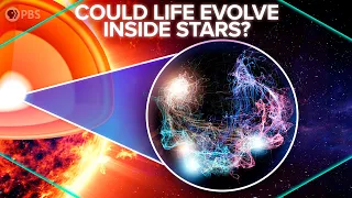 Could Life Evolve Inside Stars?