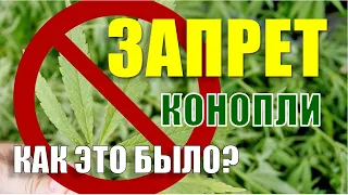 ЗАПРЕТ КОНОПЛИ. Как это было? #конопля #запреты #2024