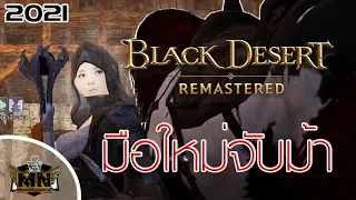 [Black Desert Remastered] วิธีจับม้าสำหรับมือใหม่ (ละเอียดทุกขั้นตอน) [2021]