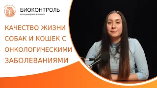 ⁉ Онкология у собак и кошек: качество жизни онкологических пациентов. Онкология у собак и кошек. 18+