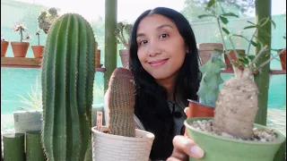 🌵The Cactus & Succulent Autumn Show + My Plant Haul