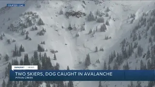 Two skiers, dog caught in avalanche in Pitkin Creek