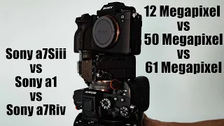 SONY A7Siii vs SONY A1 vs SONY A7Riv