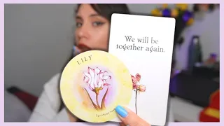 "DM Is Entering Their Healing Era" - Twin Flame Collective Reading (Timeless)