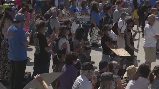 Hundreds of protesters rally for March on Portland