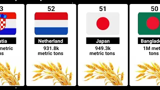 Wheat production by country || new data 2024 || by data land