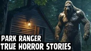 10 TRUE Creepy Park Ranger Horror Stories (Dogman,Sasquatch,Wendigo,Skinwalker,Cryptids...)