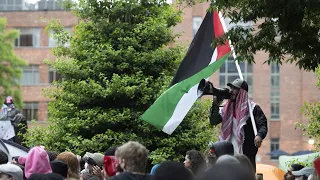 ‘Anti-Israel’ and ‘often pro-Hamas’: Chris Kenny calls out university pro-Palestine protesters