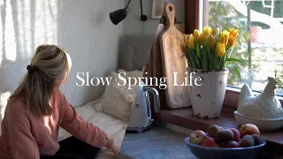 Slow Spring Life in a Small Town | Cooking and DIYs | Northern Europe