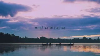 VELVET – MEDŽIAI MELAGIAI (OFFICIAL VIDEO)