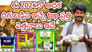 top cotton seeds in telugu / 2024 cotton seeds / pratti vittanalu /patti vittanalu