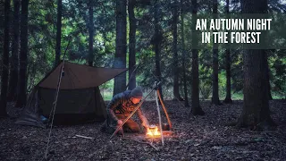 Solo Bushcraft Camp with the OneTigris Backwoods Bungalow 2.0 Tent | Campfire Cooking | Firecraft