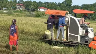 THE FASTEST WAY TO HARVEST RICE WITH A HARVESTER