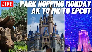 🔴 LIVE: 3 Park hopping around Disney World Animal Kingdom, Magic Kingdom, Epcot 6/5/2023