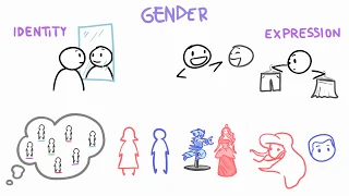 Sex vs Gender vs Orientation