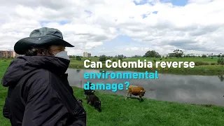 Colombia’s government struggles to fight environmental destruction