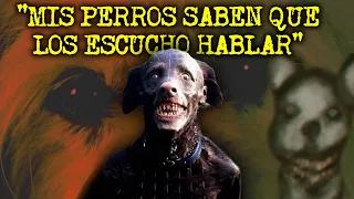 EXPERIENCIAS ATERRADORAS CON PERROS ACTUANDO COMO HUMANOS