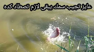 متعة صيد البلطي على المرايا الغرقانه