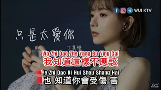 Ding Fu Ni 丁芙妮 - Zhi Shi Tai Ai Ni 只是太爱你 KTV