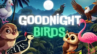 Goodnight Birds🐦🌙GREAT Cozy Bedtime Stories for Babies and Toddlers with Relaxing Music,birdsound