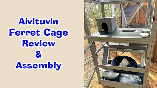 Aivituvin FERRET CAGE Review and Assembly