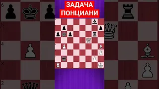 💥ШАХМАТНАЯ КРАСОТА НЕ УСТАРЕВАЕТ #шахматы #шахматныезадачи #chess #chesspuzzle